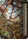 Briar Patch - Arthurian Legends - Sorcery: Contested Realm TCG - Arthurian Legends - Anglais (EN) - OCCASION
