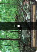 Pebbled Paths - Arthurian Legends - Sorcery: Contested Realm TCG - Arthurian Legends - Anglais (EN) - OCCASION