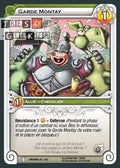 Garde Montay [Amakna 45/162 WAKFU]