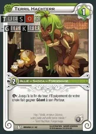 Terril Hachterr [Amakna 9/162 WAKFU]