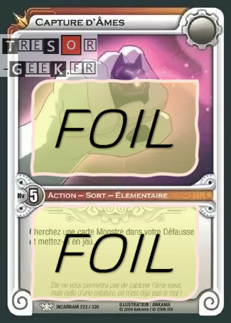 Capture d'Âmes FOIL [Incarnam 223/320 WAKFU]