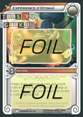 Expérience d'Otomaï FOIL [Incarnam 159/320 WAKFU]